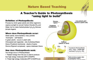 Nature Based Teaching Photosynthesis