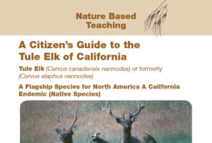 Nature Based Teaching Tule Elk