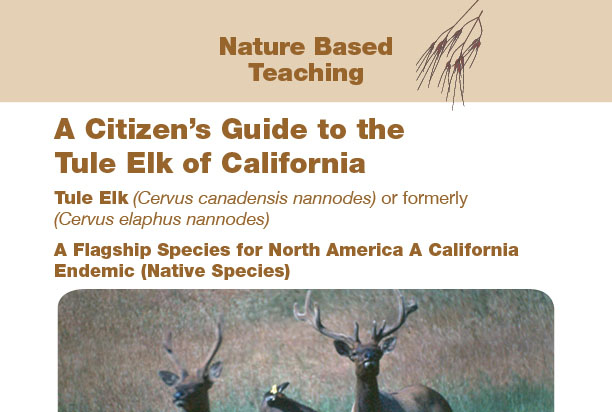 Nature Based Teaching Tule Elk